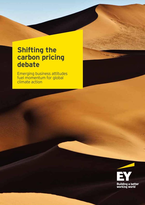 Shifting the Carbon Pricing Debate - Page 1