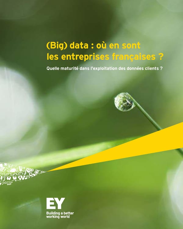 Big data : où en sont les entreprises françaises ? - Page 1