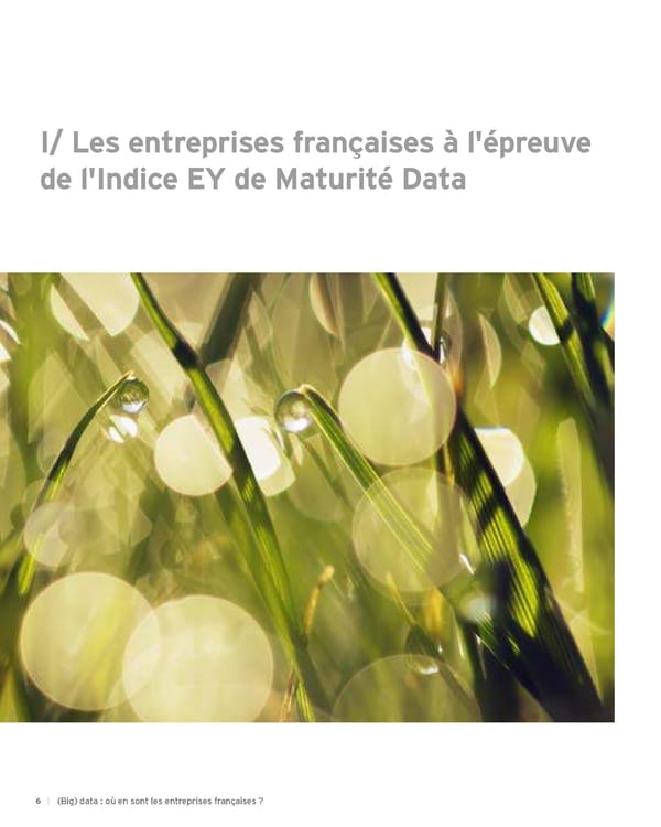 Big data : où en sont les entreprises françaises ? - Page 6