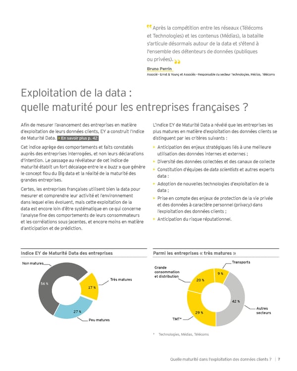 Big data : où en sont les entreprises françaises ? - Page 7