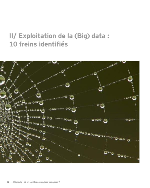 Big data : où en sont les entreprises françaises ? - Page 12